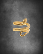 Adya Gold Goldcoil Ring For Women